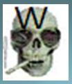 wsquel