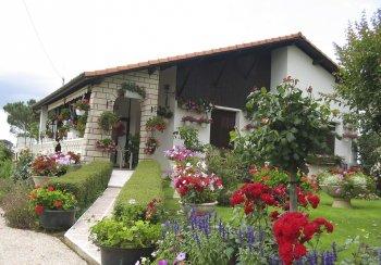 VACANCES DANS LES FLEURS